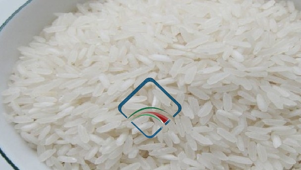 IRRI6 Rice